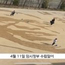 칠보고등학교 이미지
