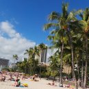 와이키키 이미지