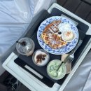 별똥구리 이미지