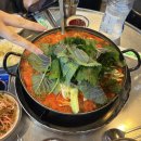 요기 서네일 이미지