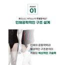 바른체형 의료기 이미지