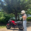 원바이크 이미지