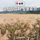 순천만여행 | 🌾 순천만습지 여행 후기 | 코스·주차·입장료 총정리 | 갈대밭·철새·전망대 완벽 코스 | 순천 여행지...