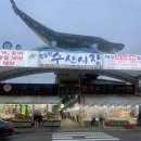 해송회식당 | 주문진수산시장 해송횟집에서 회포장 제대로 득템한 후기