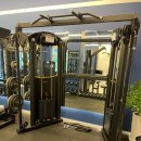 더블유 제이 이미지