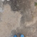 강림이용소 이미지