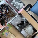 나운떡방앗간 이미지