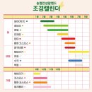 황소목장 이미지