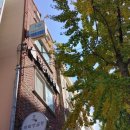 조만호안마원 이미지