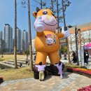 탄생축제 | 김해 장유 "김해한우축제" 마지막날 후기 가족 나들이 추천 체험·먹거리 정리