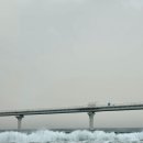 세븐일레븐 속초선사로점 | 속초 여행 맛집 ㅣ일출봉대게 횟집 솔직 후기 (내돈내산)