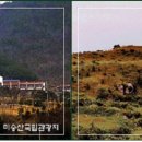 미숭산국민관광지 Daum카페
