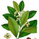 신항로L 이미지