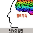 Health 큐레이터 치매 전조증상 치매의 싹에 대한 이해하기(1)