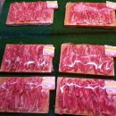 동성당구장 이미지