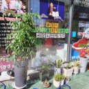 슈올즈 제천점