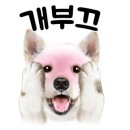 바디핏디자인짐 이미지