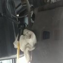 보쉬카서비스 녹산점 이미지