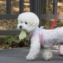 굿프렌즈동물병원 이미지