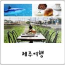 필수 관광지! 제주 5월 동쪽 가볼만한곳, 플랜트827 카페 + 타쿠마스시 + 아쿠아플라넷