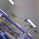 백호경희대태권도 | 마곡 태권도 백두산 경희대에서 즐겁게 체조하며 실력 키운 날