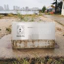바닐라 애견샵 | 속초 칠성조선소카페 비 오는 날 감성가득 애견동반 바다뷰 카페 가볼만한곳