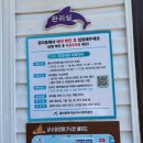 문수양궁장(주말,하절기) | [울산 피크닉장] 문수힐링피크닉장 명당 66번 자리 상세후기 총정리