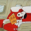 마약낙곱새 이미지