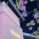 노티드 여주프리미엄아울렛 이미지