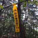 청령리 이미지