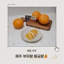 부자맘의하루 | 제주 부자팜 황금향 내돈내산 후기 🍊 올겨울 과일은 이걸로 정착