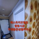 베스트필림