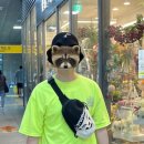 우리아빠약국 이미지