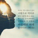 에스더 이미지
