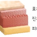 몸그리다 이미지