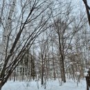 주정차071 네이버블로그