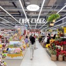 새중앙약국 | 충남 아산 실내 가볼만한곳 추천 다이소 용화점 여행준비물 구매 대형 하나로마트 놀거리