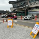 두꺼비 애견 이미지