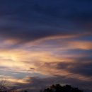 나를 본다 이미지