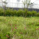 새로이농장 이미지