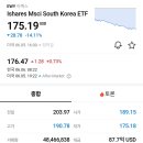 EWY ( Ishares Msci South Korea ETF ) 이미지