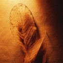 동국대학교 대학원 이미지