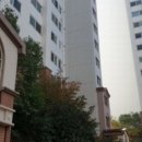 하단동113 이미지