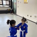 (Dream of JUDO)영동유도관 이미지