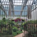 솔향공원 소나무전시관 이미지