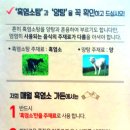 광주흑염소탕 이미지