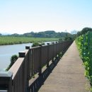 현천낚시터 이미지