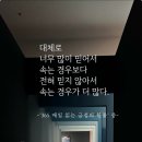 대체로 이미지