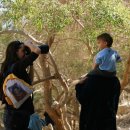 엔게디(Ein Gedi) 이미지