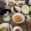 놀고먹는도야지